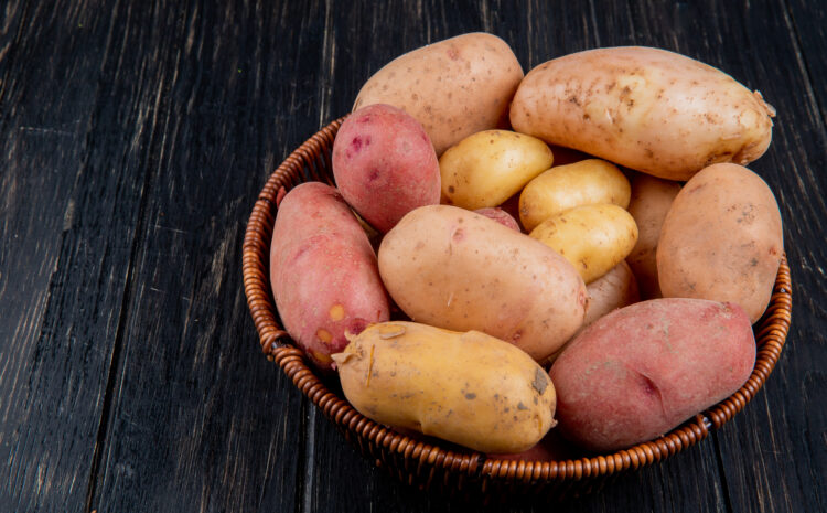 Batata, Papa Dulce o Camote, una Delicia para Descubrir